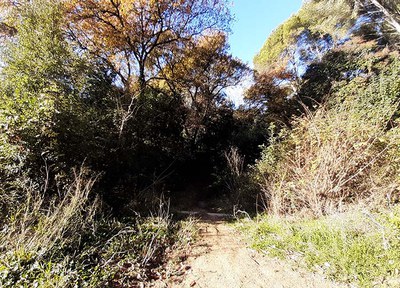 L'Ajuntament millorarà el Parc fluvial del Torrent de la Font del Pont