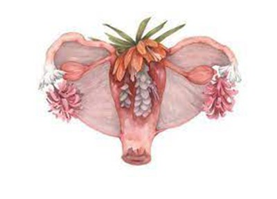 Inscriu-te al Taller sobre la Plenopausa