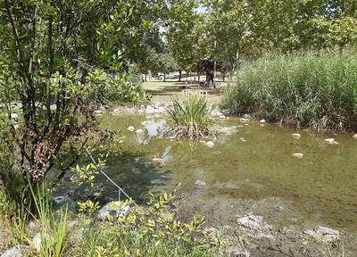 Tasques de neteja del llac del parc de la Betzuca