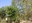 Alt risc d'incendis forestals
