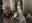 Jaume Cases: “Una de les meves etapes més bones com a artista ha estat a Sant Quirze”