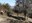  Sant Quirze del Vallès realitza diverses actuacions per prevenir incendis forestals 