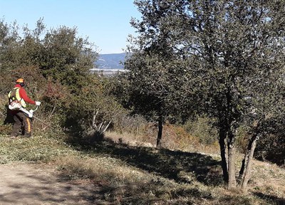  Sant Quirze del Vallès realitza diverses actuacions per prevenir incendis forestals 