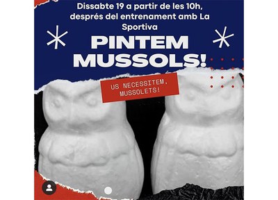 Aquest dissabte, pintada de mussols!