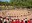 El Dansem omple el parc de cultura musical catalana i d'arreu d'Europa