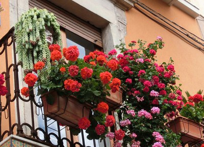 Inscriu-te al Sant Quirze Temps de Flors!