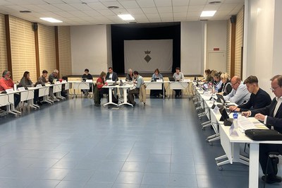 Avui, Ple extraordinari i urgent