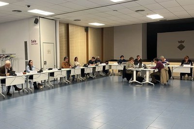 Ordre del dia del Ple de novembre