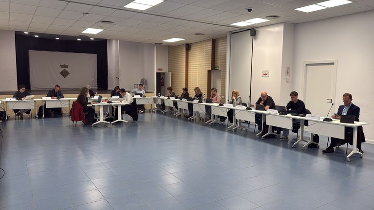 Ple març
