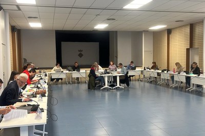 El Ple dona compte d’una bona salut econòmica municipal
