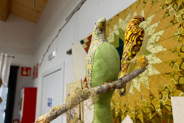 Imatges de exposició artística “Teixint el bosc”