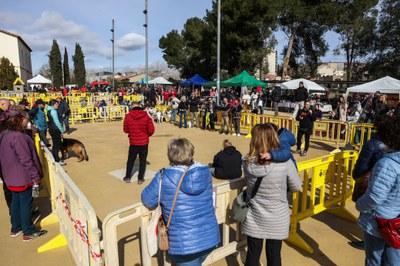 Festa dels Animals 2024