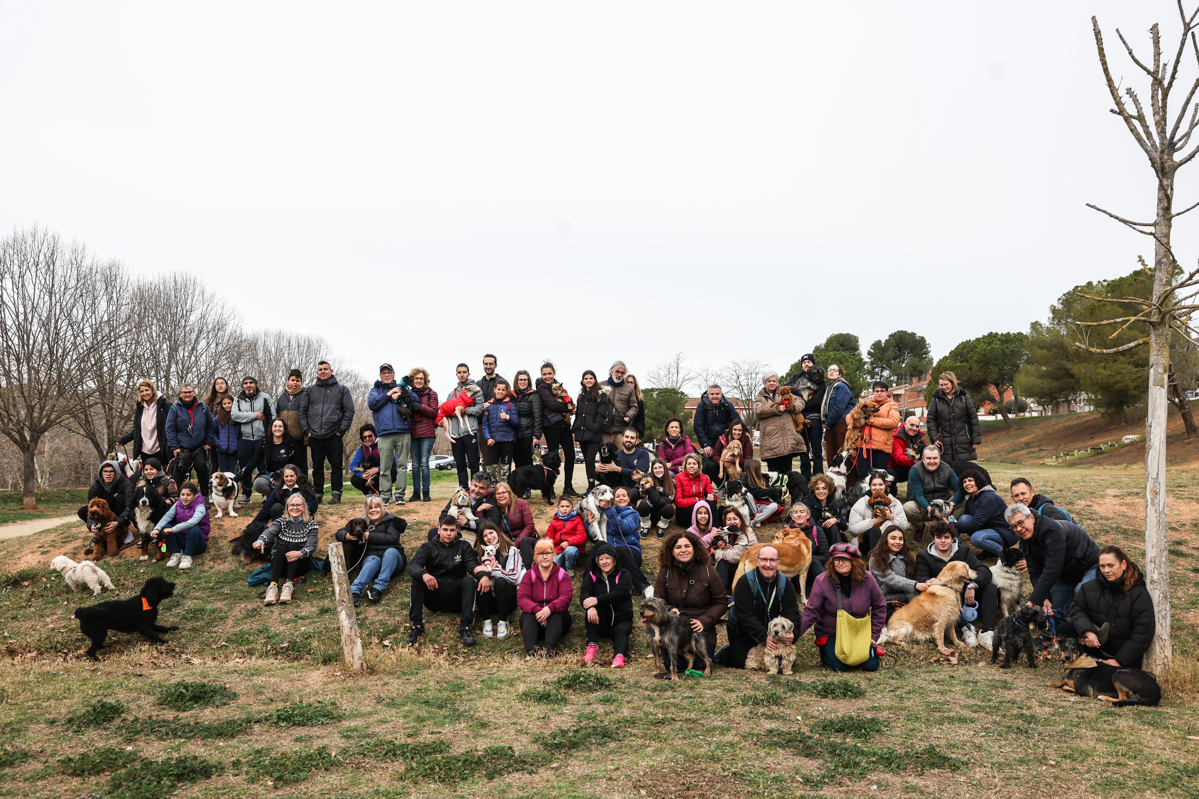 Festa dels Animals 2024