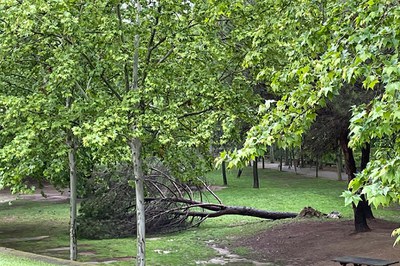 La pluja va deixar ahir més de 100 litres a Sant Quirze