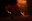 53160295385_06ae90d418_c.jpg