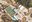 Poda de branques seques i pins