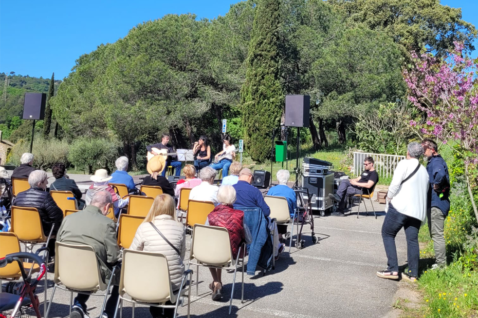 stjordi2025assis.jpg