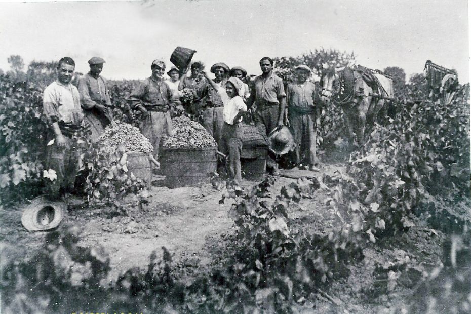 exposició gent vinya.jpg