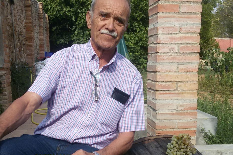josep cambra (1).jpg