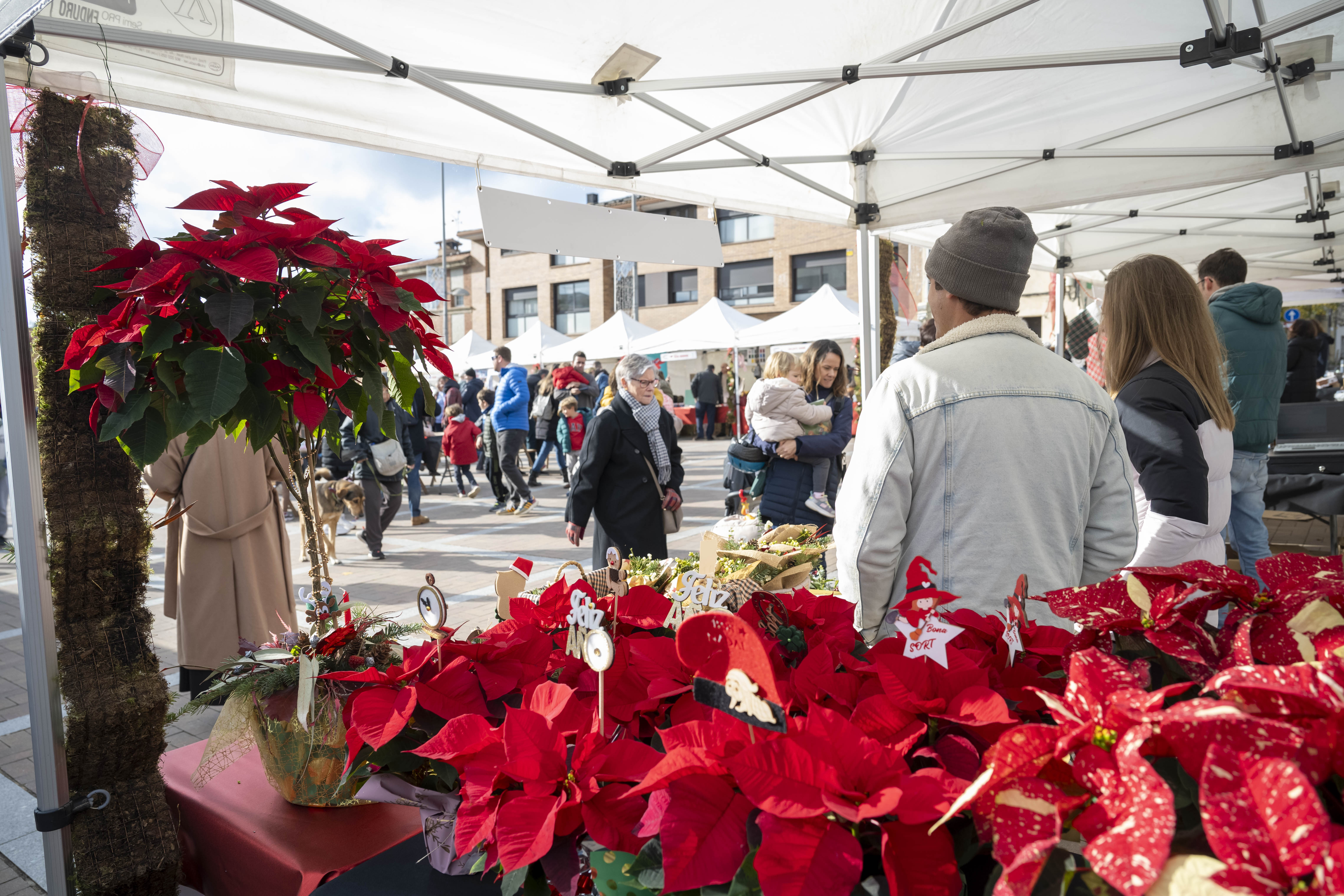 Mercat de Nadal7.JPG