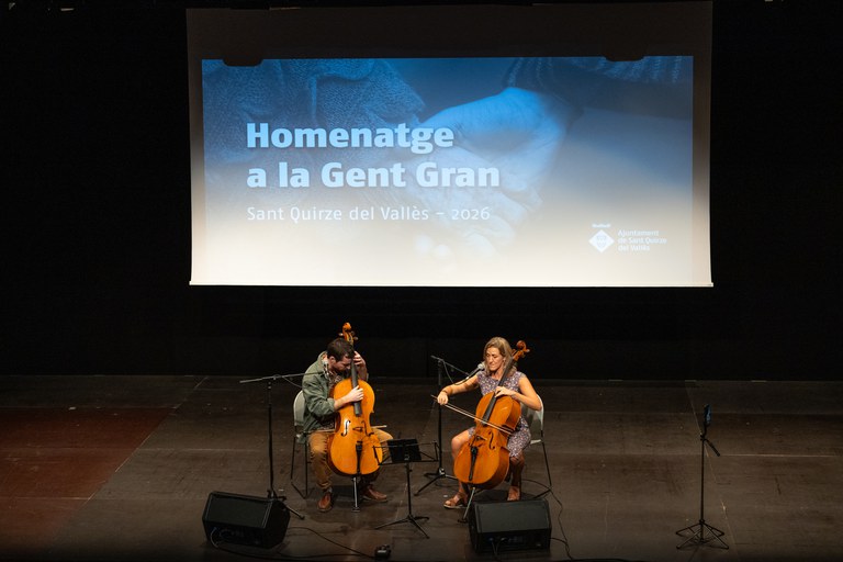 Actuació musical2.jpg