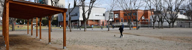 pati-institut-salas-i-xandri.jpg