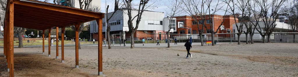 pati-institut-salas-i-xandri.jpg pati institut salas i xandri