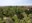 Parc de les Morisques