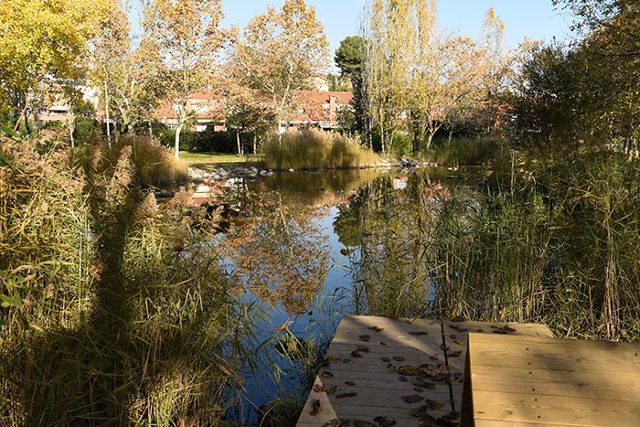 parc can feliu.jpg