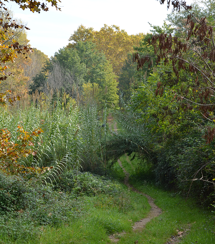 parc_canbarra.png