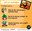 Consells Correfoc Infografia.JPG