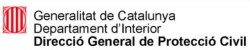 Logo Direccio Generalitat.jpg