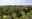 parc morisques.png