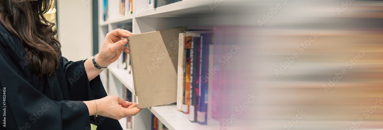 fons-public-biblio.jpg