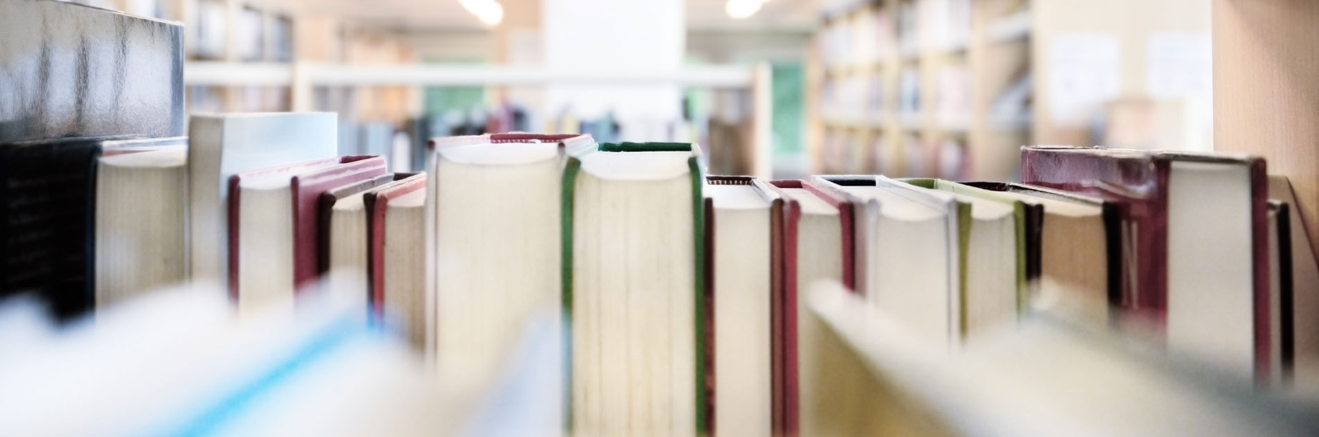 fons-biblioteca.jpg
