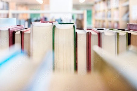 llibres-prestatgeria-biblio.jpg