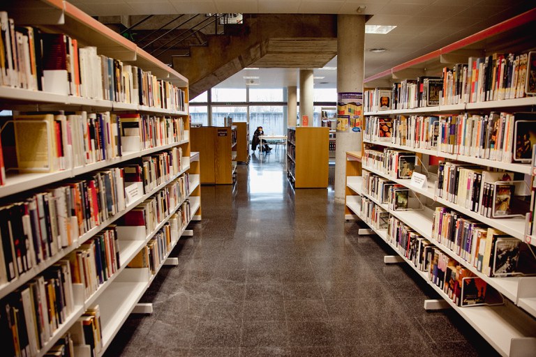 prestatgeria-llibres.jpg
