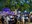 parc-morisques-tasta-sopar.jpg