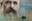 Cinefòrum: "I, Claude Monet"
