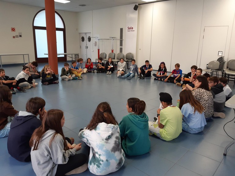 Organització, funcionament i composició del Consell