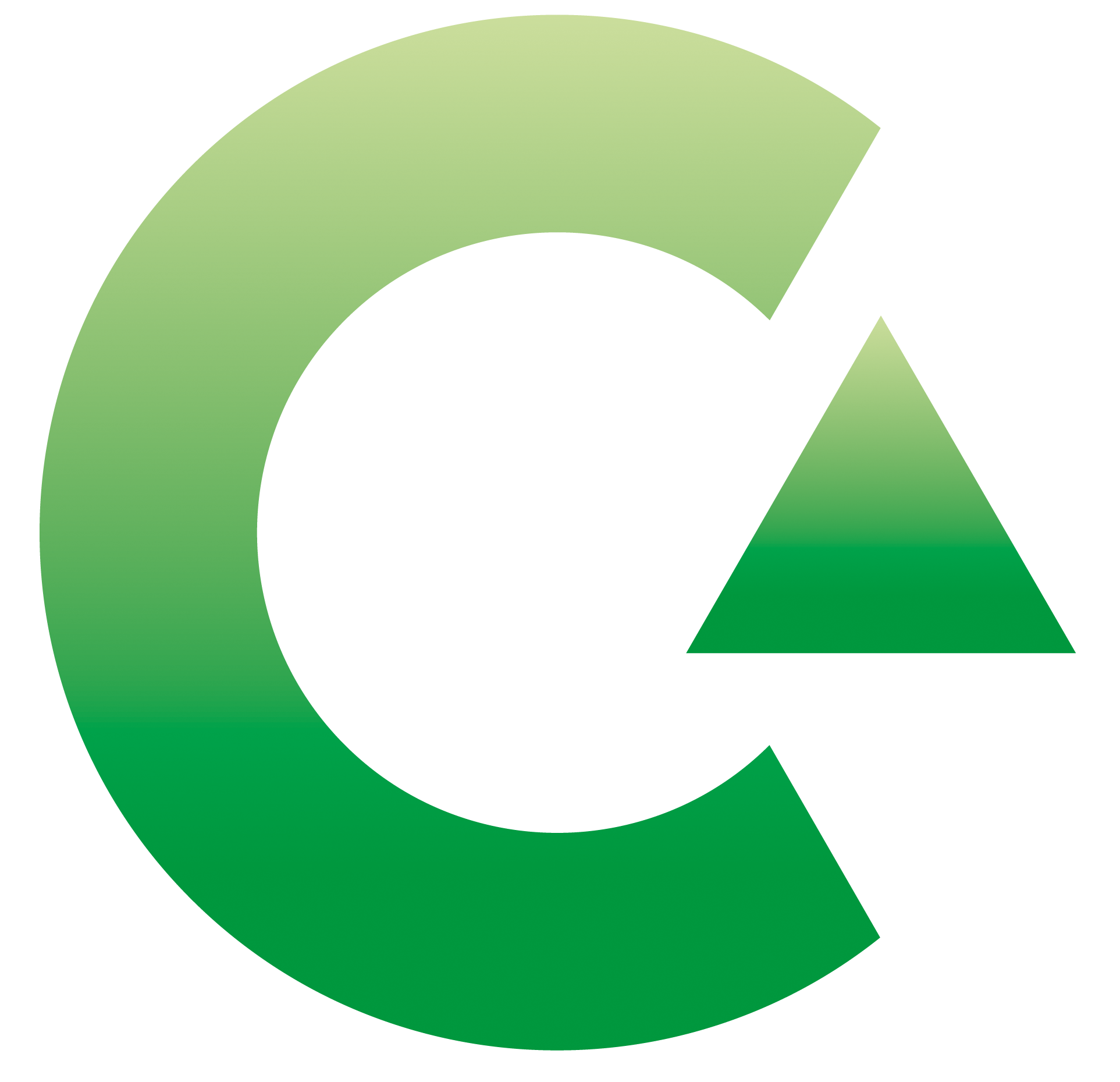 Carinsa.png