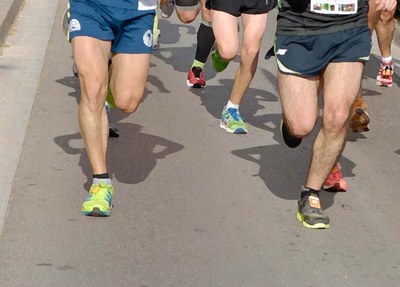 Sortides de Trail Mussols