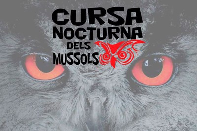 XIV Cursa nocturna dels Mussols