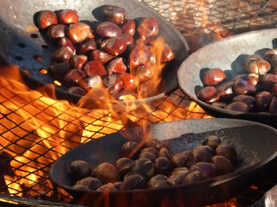 Celebració de la Festa de la Castanyada