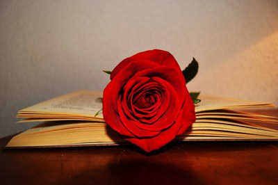 Dinar de Sant Jordi Associació Casal d'Avis