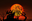 Survival zombie