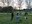 IMG-20210315-WA0000.jpg