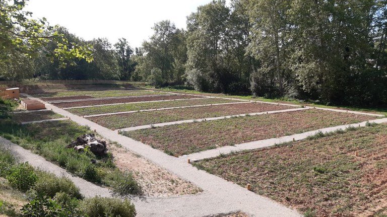Pàgina on trobareu la informació sobre el funcionament dels horts municipals del Colomer i com sol·licititar l'ús d'una parcel·la.