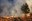 Incendis forestals