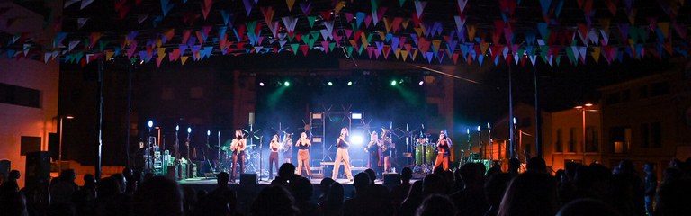 festes-i-concentracions.jpg